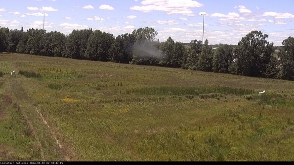 Cell 2_24-06-30_14-30-45-37