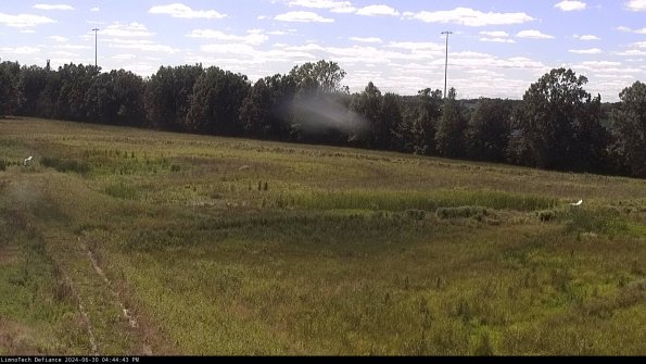 Cell 2_24-06-30_16-44-44-35