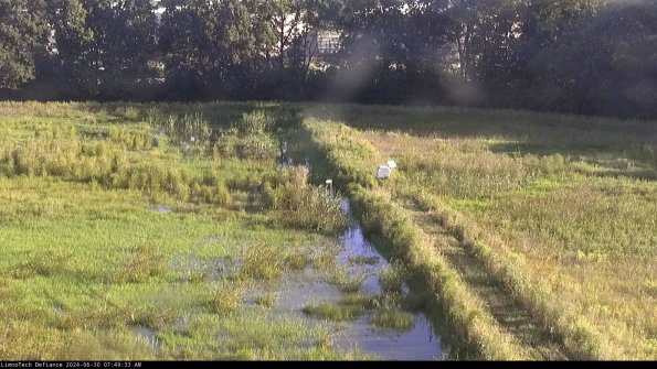 Cell 3 to 4_24-06-30_07-49-34-36