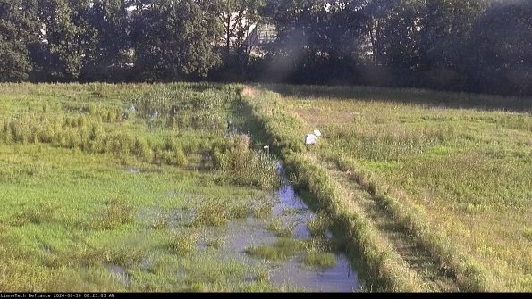 Cell 3 to 4_24-06-30_08-23-04-35