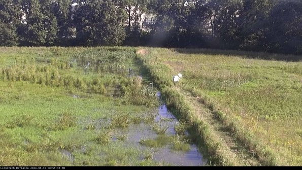 Cell 3 to 4_24-06-30_08-56-34-34