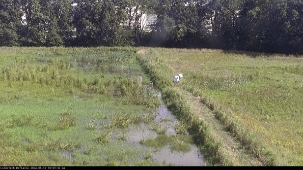 Cell 3 to 4_24-06-30_10-03-33-31