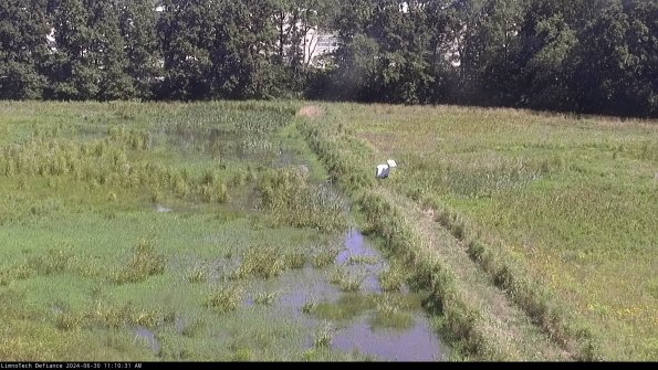 Cell 3 to 4_24-06-30_11-10-32-32