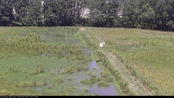 Cell 3 to 4_24-06-30_13-24-28-33