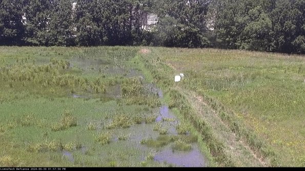 Cell 3 to 4_24-06-30_13-57-57-32