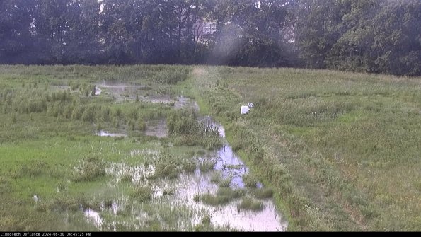 Cell 3 to 4_24-06-30_16-45-26-32