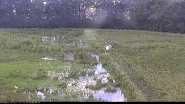 Cell 3 to 4_24-06-30_18-59-24-34