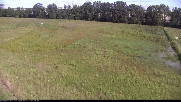 Cell 3_24-06-30_10-03-19-33