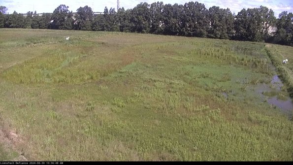 Cell 3_24-06-30_10-36-49-35