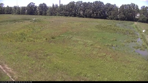 Cell 3_24-06-30_14-31-12-53