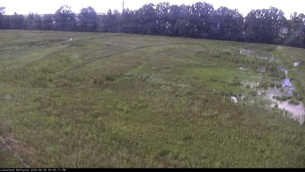 Cell 3_24-06-30_16-45-12-34