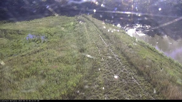 Cell 4 to Basin_24-06-30_08-23-48-33