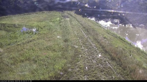 Cell 4 to Basin_24-06-30_08-57-18-35