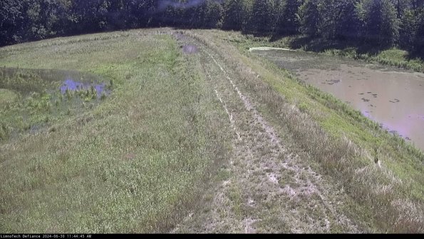 Cell 4 to Basin_24-06-30_11-44-46-35