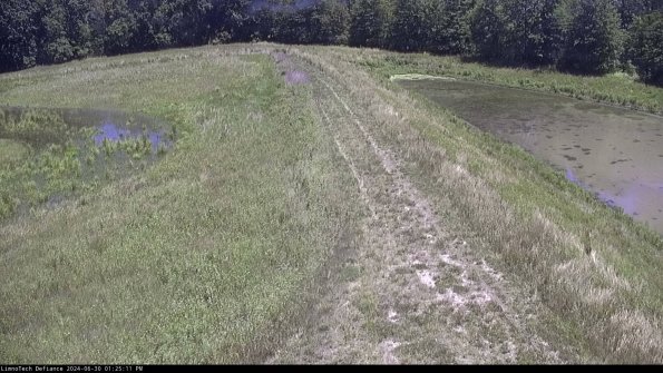 Cell 4 to Basin_24-06-30_13-25-12-34