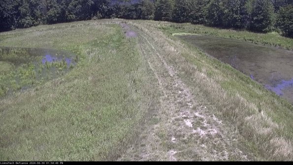 Cell 4 to Basin_24-06-30_13-58-41-33