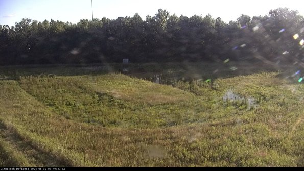 Cell 4_24-06-30_07-49-48-34