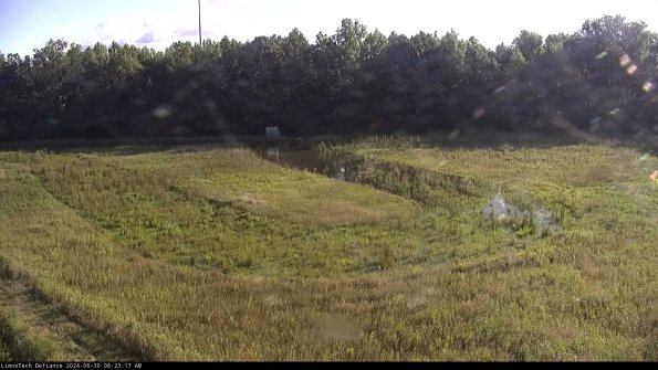 Cell 4_24-06-30_08-23-18-33