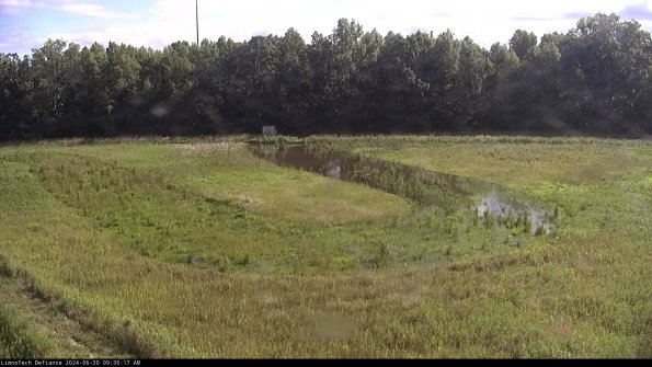 Cell 4_24-06-30_09-30-18-34