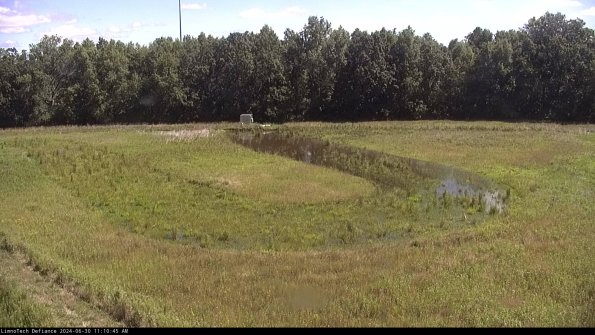 Cell 4_24-06-30_11-10-46-33