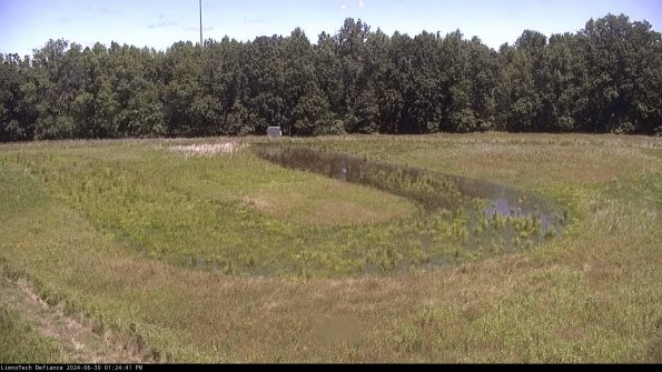 Cell 4_24-06-30_13-24-42-31