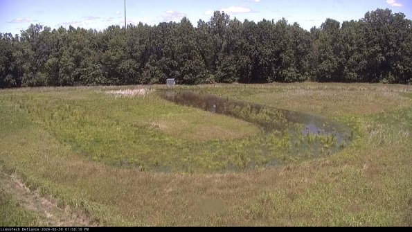 Cell 4_24-06-30_13-58-11-34