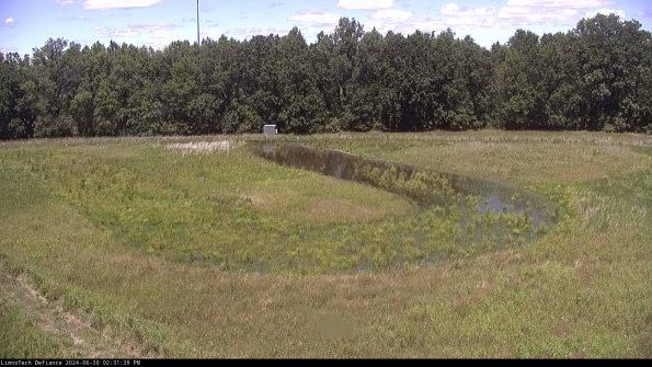 Cell 4_24-06-30_14-31-40-32