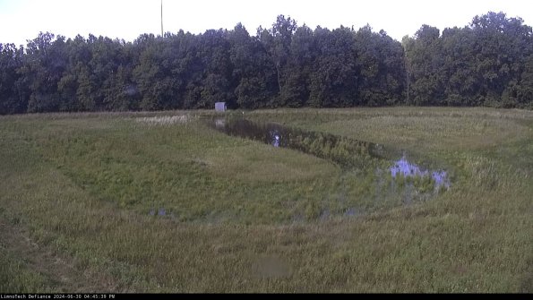 Cell 4_24-06-30_16-45-40-34