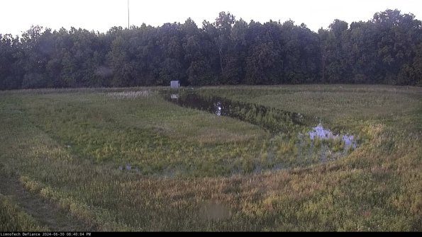 Cell 4_24-06-30_20-40-05-35