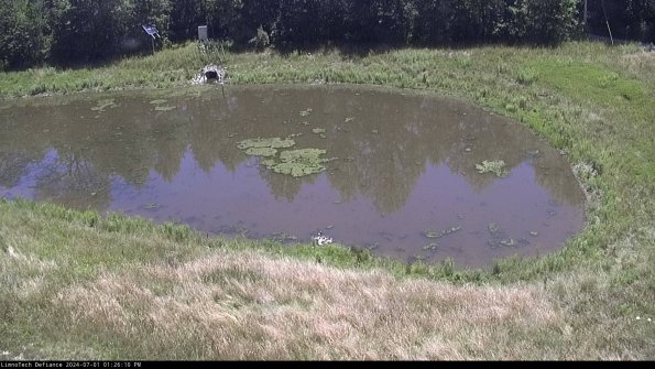 Basin Right_24-07-01_13-26-11-34