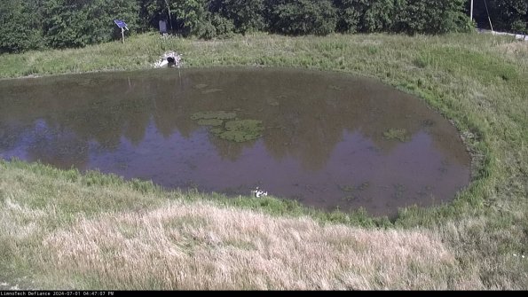 Basin Right_24-07-01_16-47-08-32