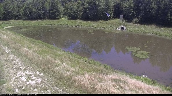 Basin_24-07-01_13-59-11-53