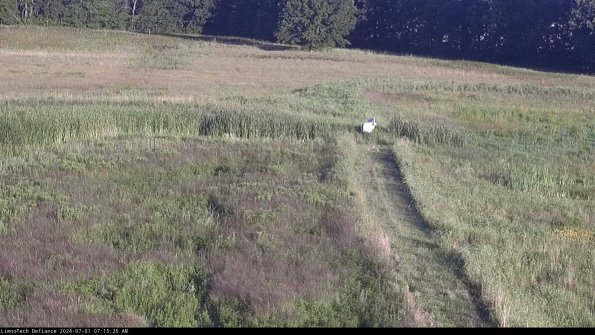 Cell 1 to 2_24-07-01_07-15-27-34