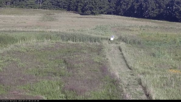 Cell 1 to 2_24-07-01_08-22-27-35