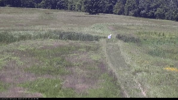 Cell 1 to 2_24-07-01_13-23-50-33