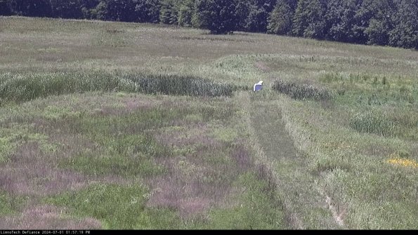 Cell 1 to 2_24-07-01_13-57-20-32