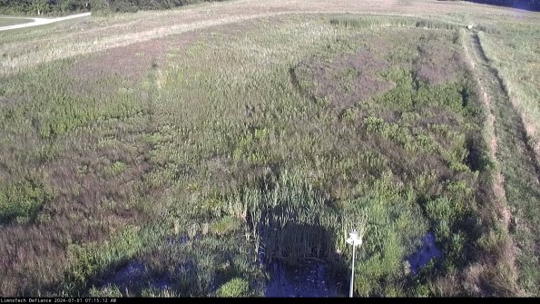 Cell 1_24-07-01_07-15-13-32