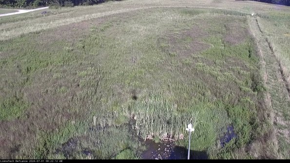 Cell 1_24-07-01_08-22-13-33