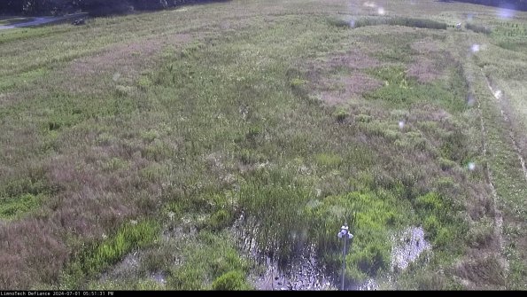 Cell 1_24-07-01_17-51-32-34