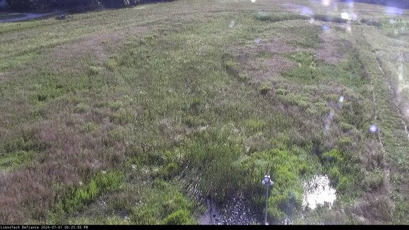 Cell 1_24-07-01_18-25-01-33