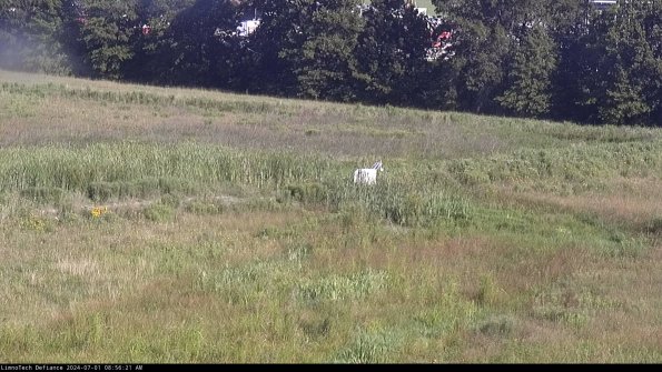 Cell 2 to 3_24-07-01_08-56-22-39