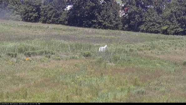 Cell 2 to 3_24-07-01_12-17-17-38