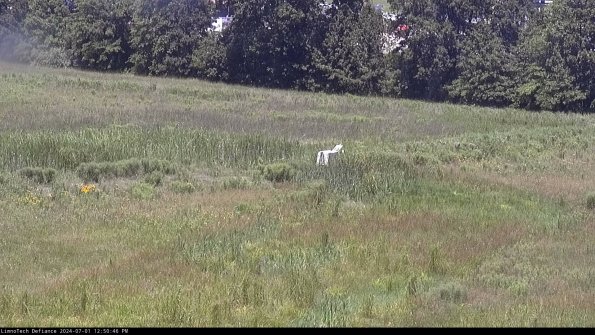 Cell 2 to 3_24-07-01_12-50-46-50