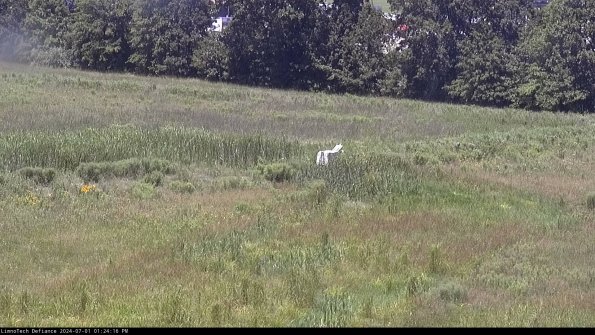 Cell 2 to 3_24-07-01_13-24-16-46