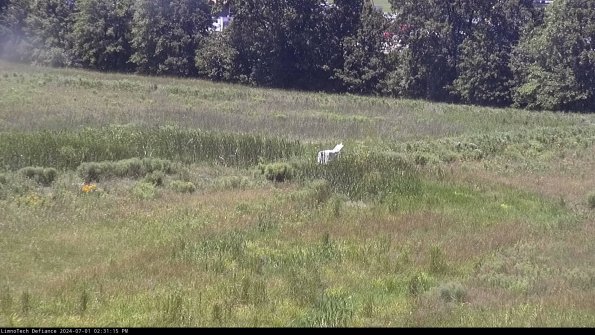 Cell 2 to 3_24-07-01_14-31-16-43