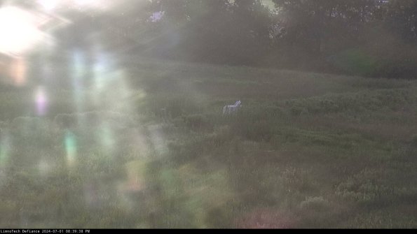 Cell 2 to 3_24-07-01_20-39-39-42