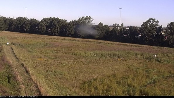 Cell 2_24-07-01_07-49-09-37