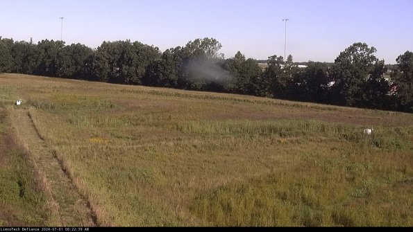 Cell 2_24-07-01_08-22-40-36