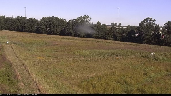 Cell 2_24-07-01_08-56-09-35