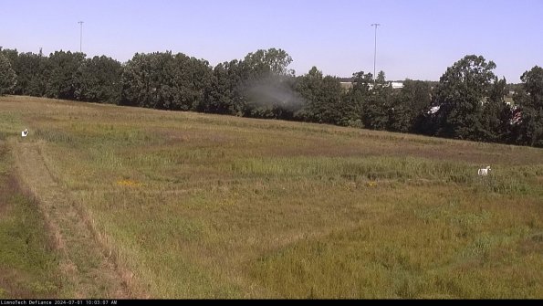 Cell 2_24-07-01_10-03-08-35